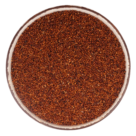 Top-VIew.png