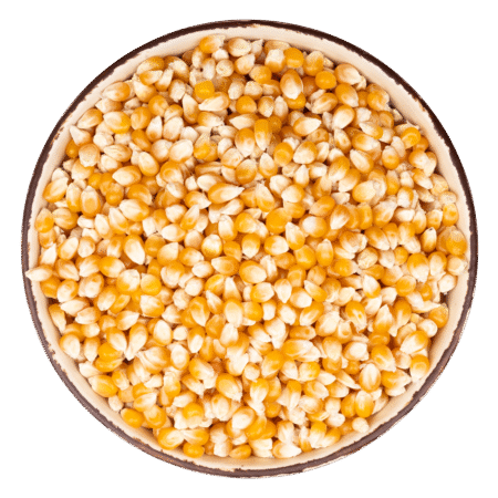 corn.png