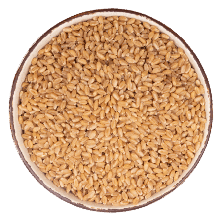 wheat.png