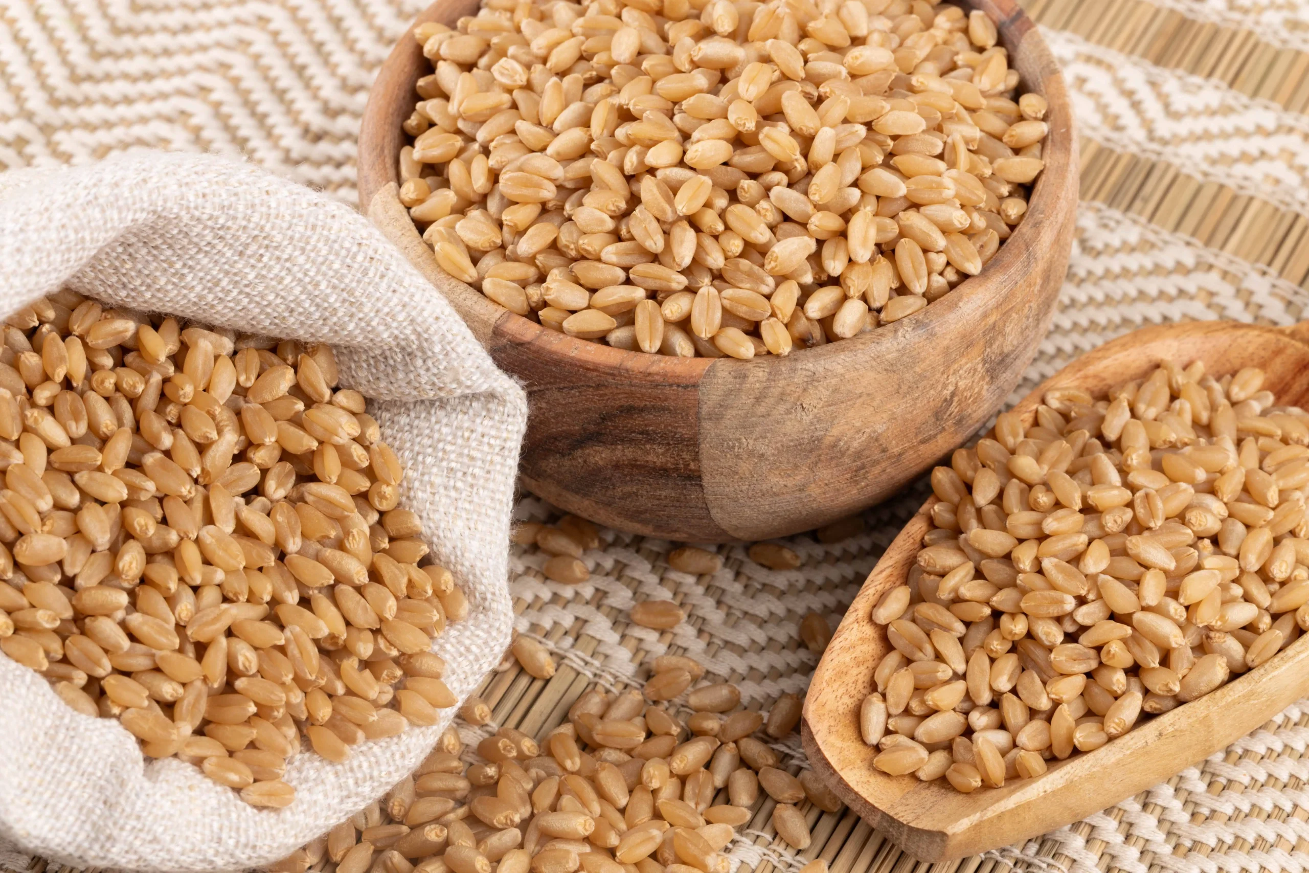 Wheat
